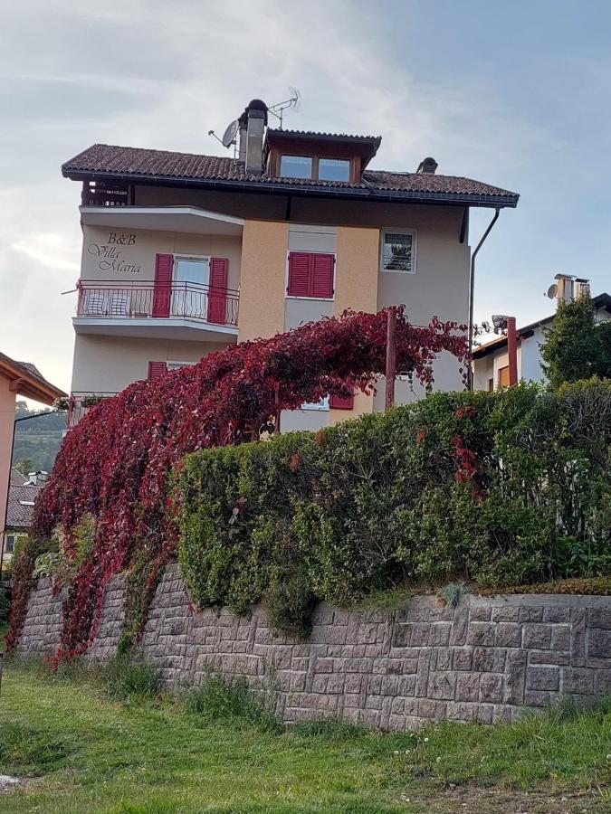 Bed & Breakfast Villa Maria Cavalese Exterior photo